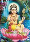 Lord Naayana